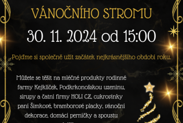 ADVENTNÍ TRHY A ROZSVÍCENÍ VÁNOČNÍHO STROMU